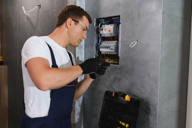 Best Electric Panel Repair  in South Corning, NY