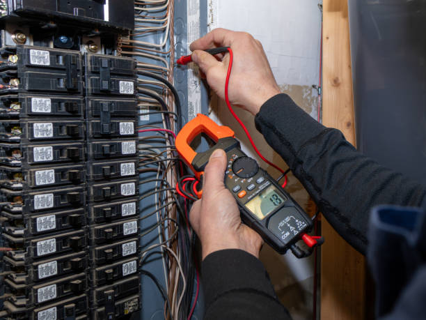 Best Electric Panel Repair  in South Corning, NY