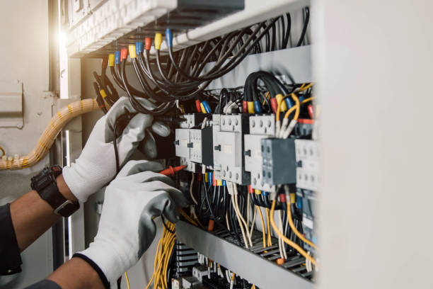 Best Ceiling Fan Installation Electrician  in South Corning, NY